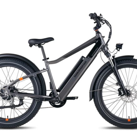 RadRover 6 Plus High-Step Electric Fat Tire Bike