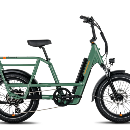 RadRunner 3 Plus Electric Utility Bike
