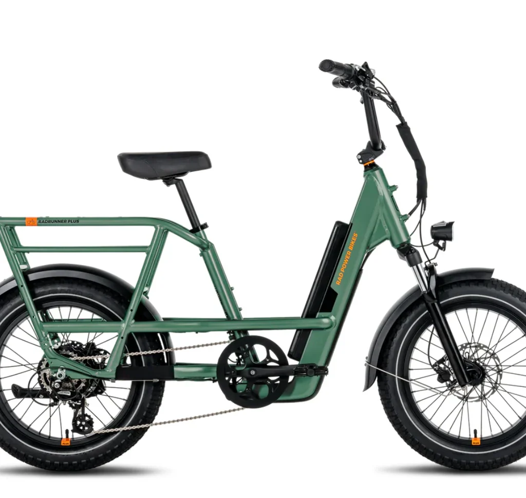 RadRunner™ 3 Plus Electric Utility Bike